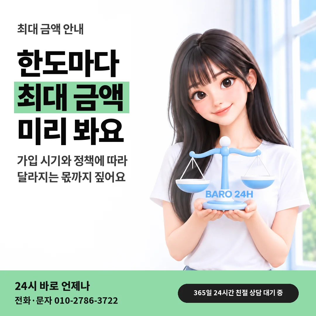 저울을 든 BARO 24H 티셔츠를 입은 3D 인물 옆에 「한도마다 최대 금액」 제목을 얹은 안내 카드